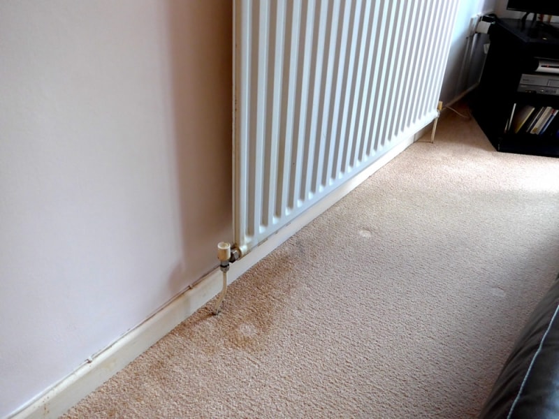 Radiator water or rust stains in carpet or upholstery