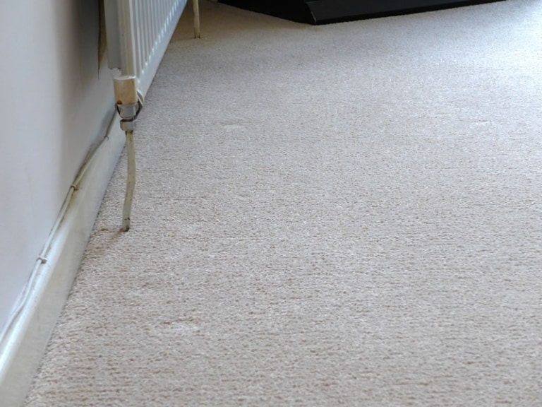 Radiator water or rust stains in carpet or upholstery