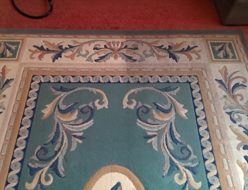 Half Cleaned Carpet, Rug and Upholstery
