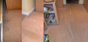 Carpet Edge and Walkway Carpet Cleaning in Shirley, Southampton