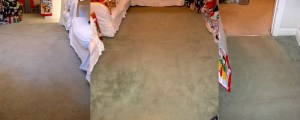 Christmas Carpet Cleaning Job in Shirley, Southampton before Photos