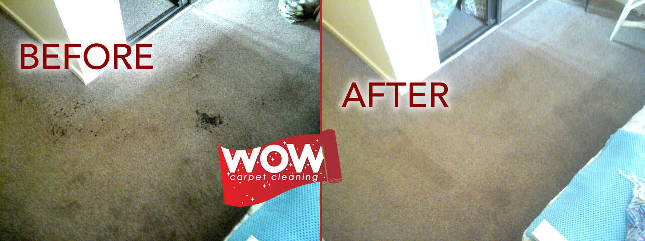 Blood Stains Removed from Carpet