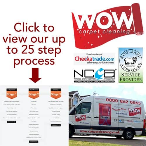 WOW Carpet Cleaning Carpet Cleaners in Portsmouth & Southampton