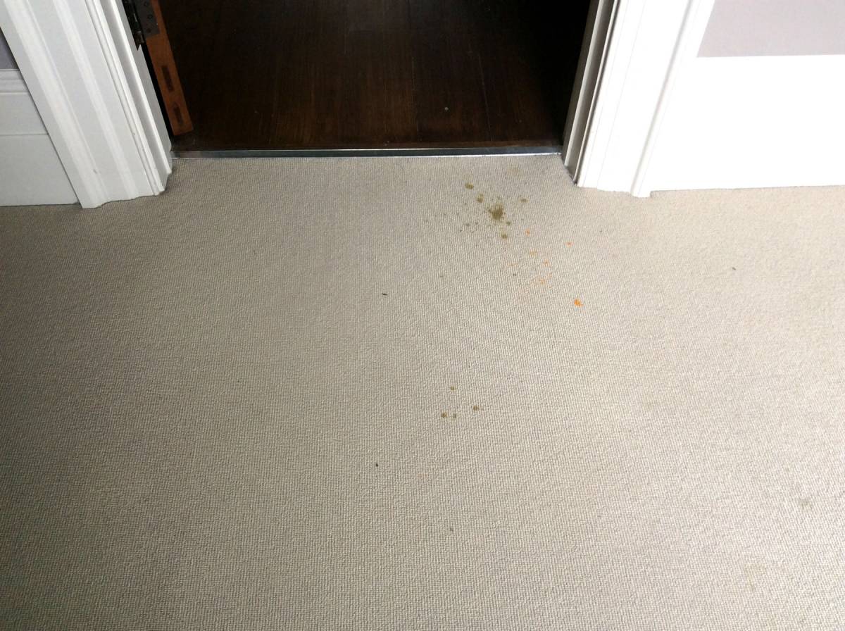 Radiator rust staining on carpet in Winchester WOW Carpet Cleaning
