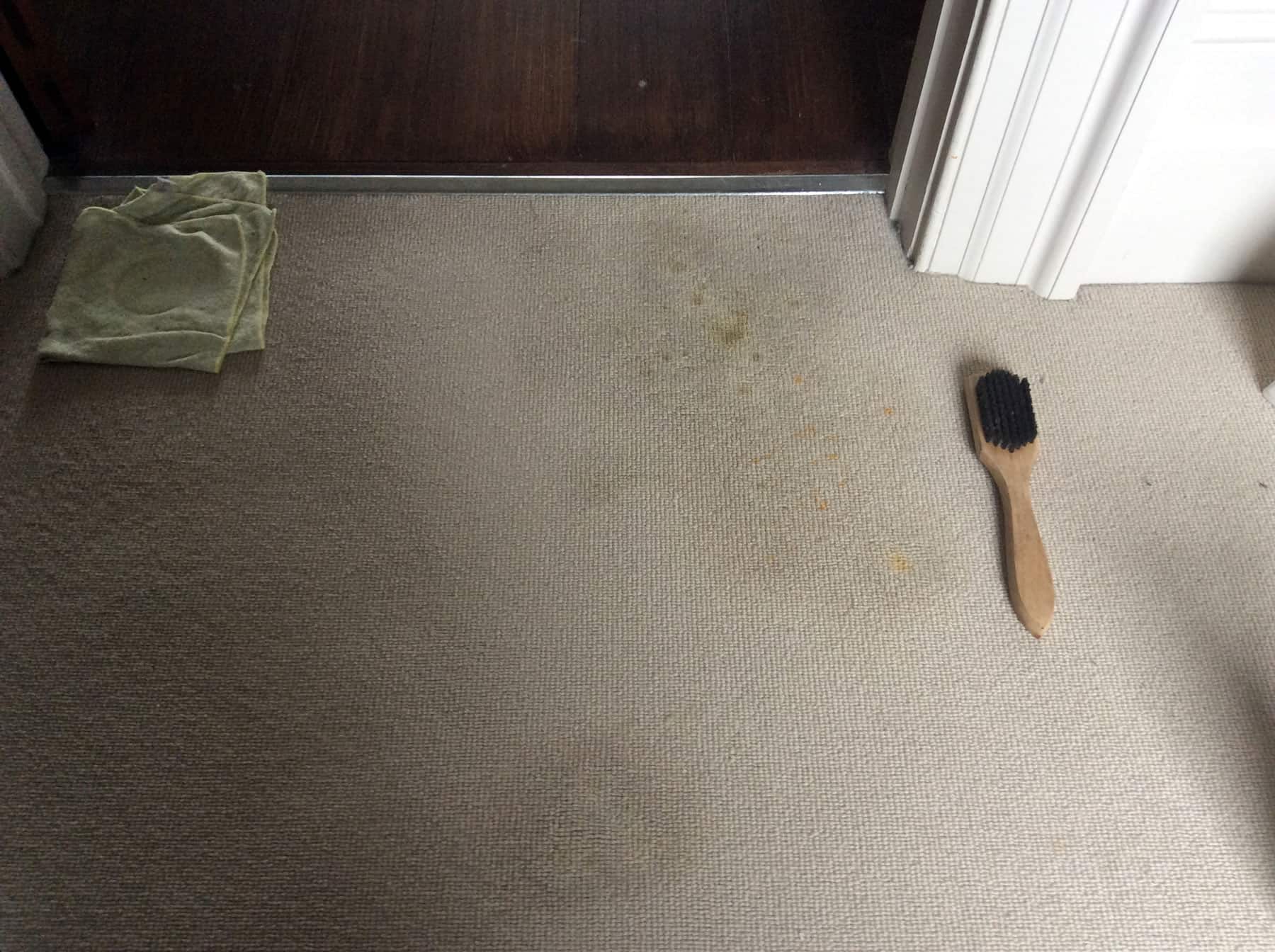 Professional Stain Removal and Carpet Cleaning in 2018