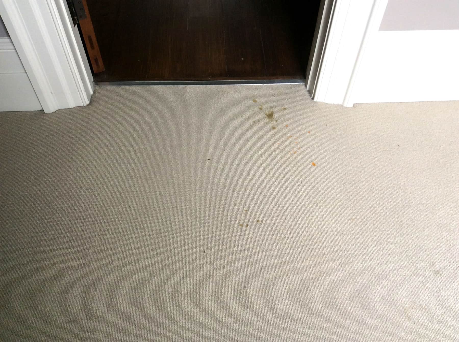 Radiator rust staining on carpet in Winchester WOW Carpet Cleaning