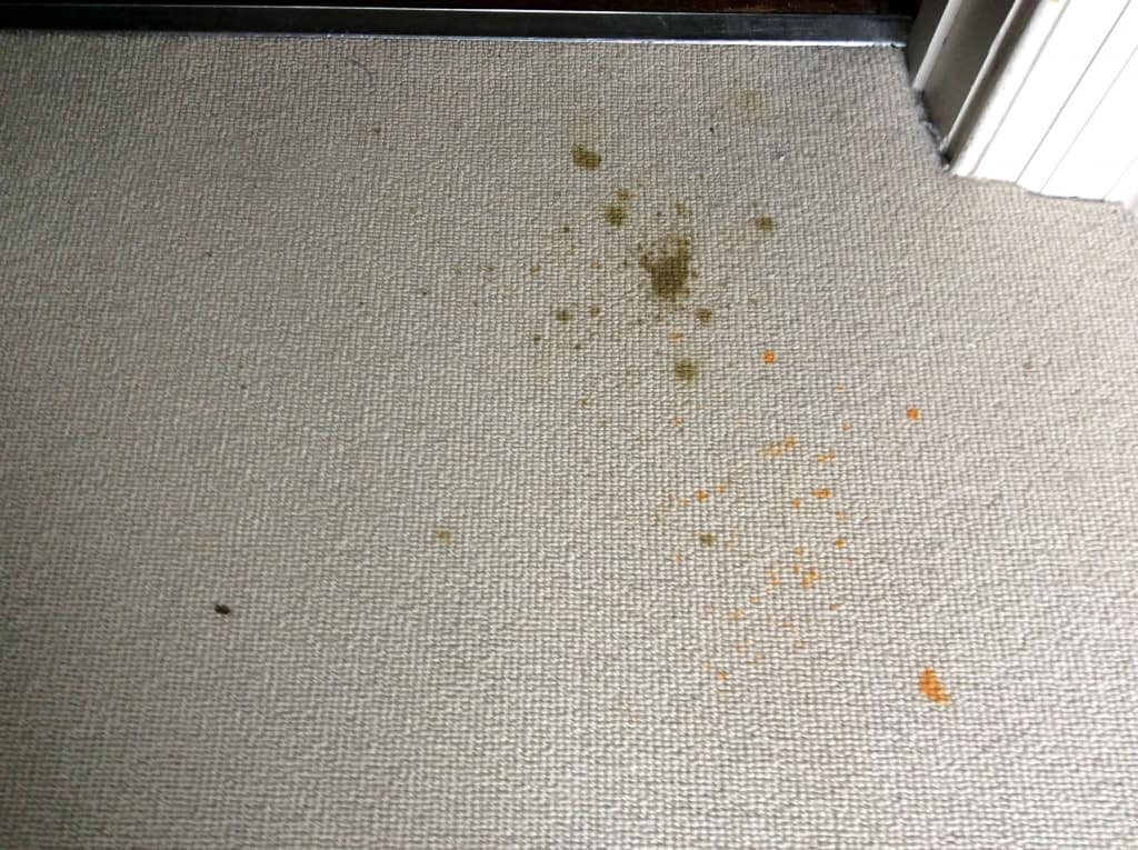 Radiator rust staining on carpet in Winchester WOW Carpet Cleaning