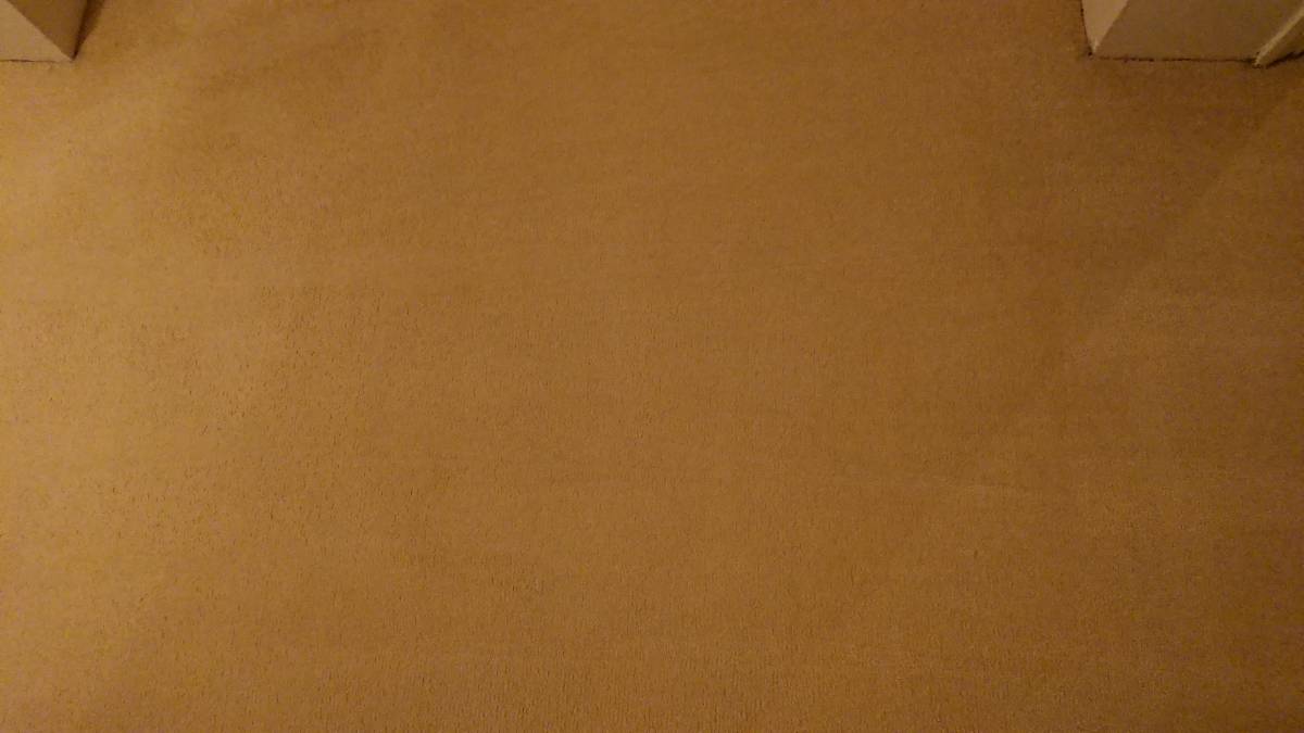 Water leak stain removal WOW Carpet Cleaning