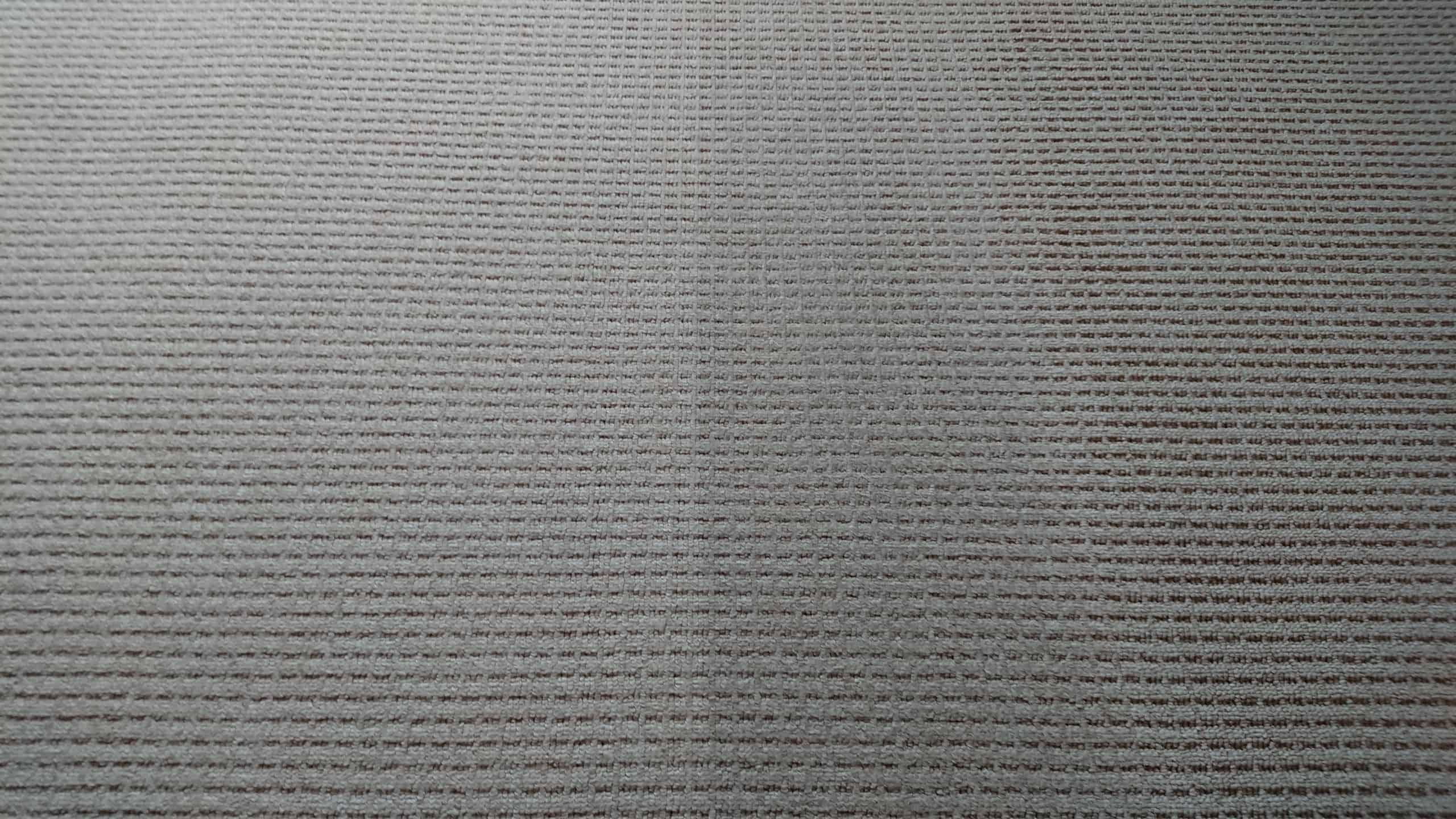 Carpet clean with truckmounted machine WOW Carpet Cleaning