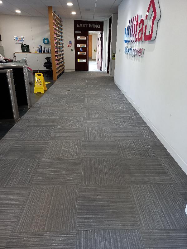 Reception Carpets clean, fresh and WOW Carpet Cleaning